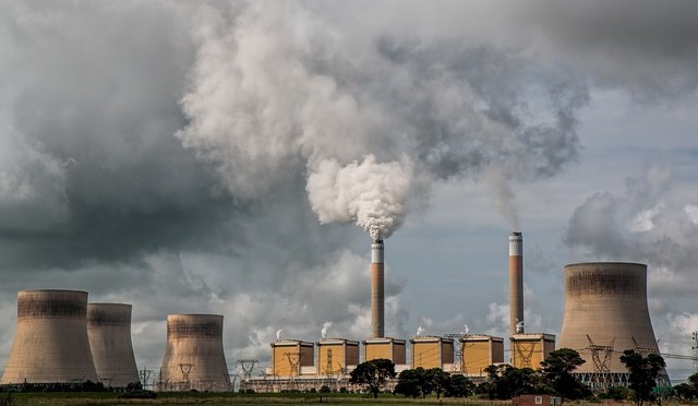 Treasury will not budge over carbon tax